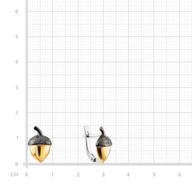 Серебряные серьги 