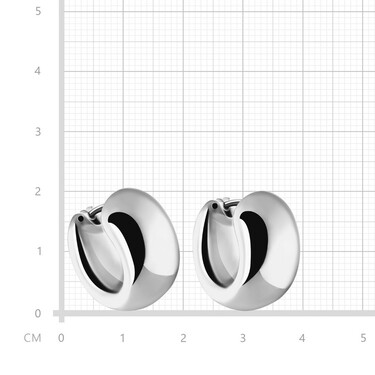 Серебряные серьги 