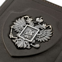 Обложка для документов,Серебро,Натуральная кожа,с вставкой Серебряная вставка Серебряный цвета,РОССИЯ