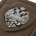 Обложка для документов,Серебро,Натуральная кожа,с вставкой Серебряная вставка Серебряный цвета,РОССИЯ