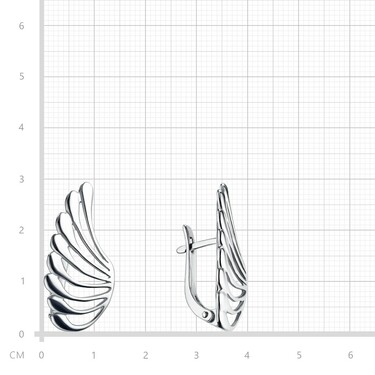 Серебряные серьги 