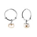 Серьги,Серебро,с вставкой Жемчуг культивированный Белая цвета,с замком Кольцо,Конго,РОССИЯ