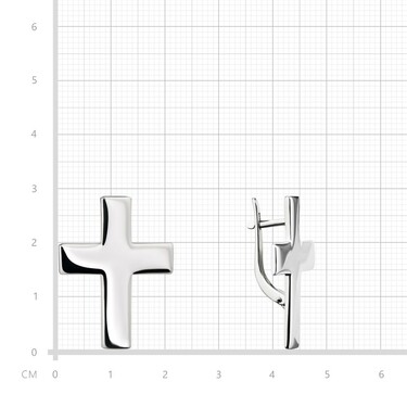 Серебряные серьги 