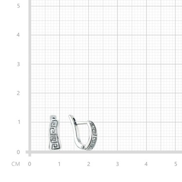 Серебряные серьги 