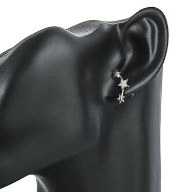 Серебряные серьги пусеты гвоздики 