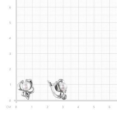 Серебряные серьги 