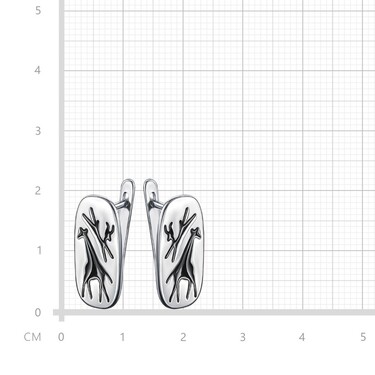 Серебряные серьги 