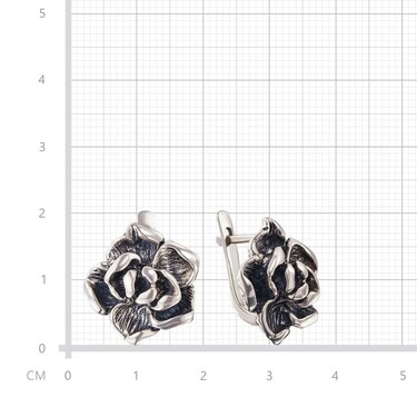 Серебряные серьги 