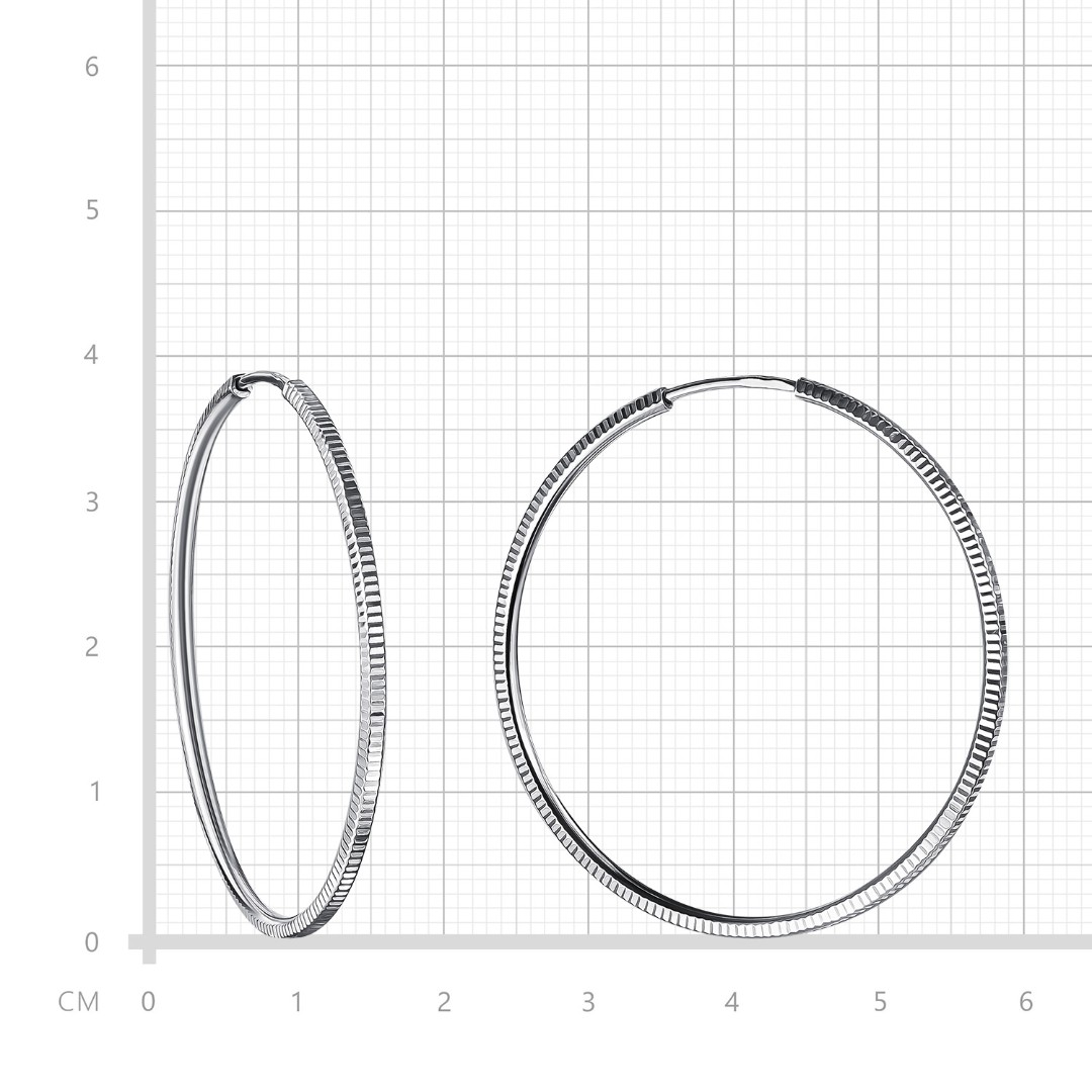 Серьги,Серебро,с вставкой Без вставок,с замком Кольцо,Конго,РОССИЯ