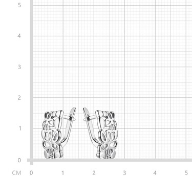 Серебряные серьги 