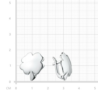 Серебряные серьги 