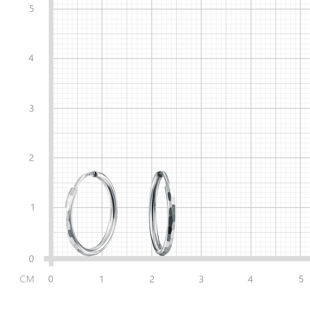 Серьги,Серебро,с вставкой Без вставок,с замком Кольцо,Конго,РОССИЯ