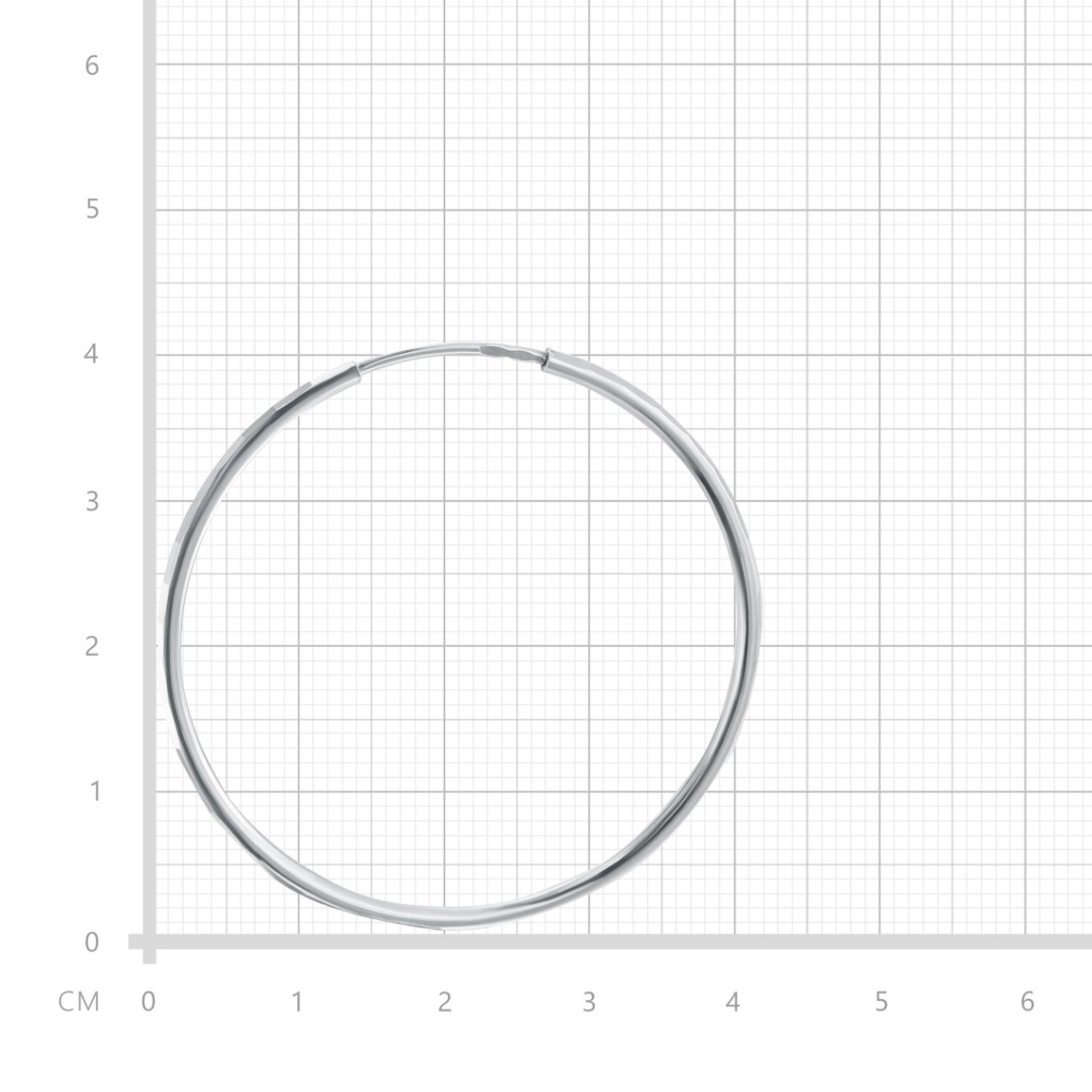 Серьги,Серебро,с вставкой Без вставок,с замком Кольцо,Конго,РОССИЯ