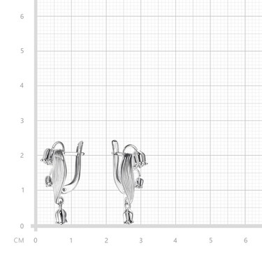 Серебряные серьги 