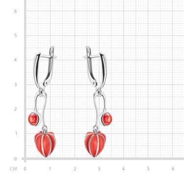 Серебряные серьги 