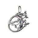Подвеска,Кулон,Талисман,Амулет,Тотем,Серебро,с вставкой Без вставок,РОССИЯ