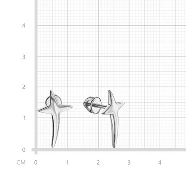 Серебряные серьги / Пусеты / Гвоздики / Морская Звезда, родий
